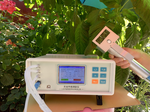 植物氣孔針有何應用？