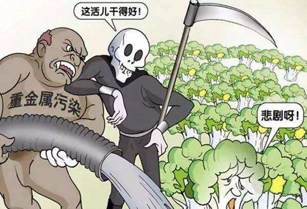  糧食安全如何得到保障？