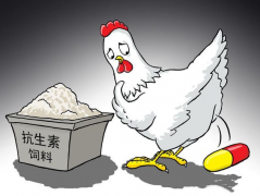 食品抗生素層出不窮，如何檢測(cè)？